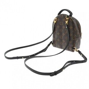Louis Vuitton Palm Monogram Springs Daypack Brown Canvas Backpack
